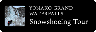 YONAKO GRAND WATERFALLS Snowshoeing Tour