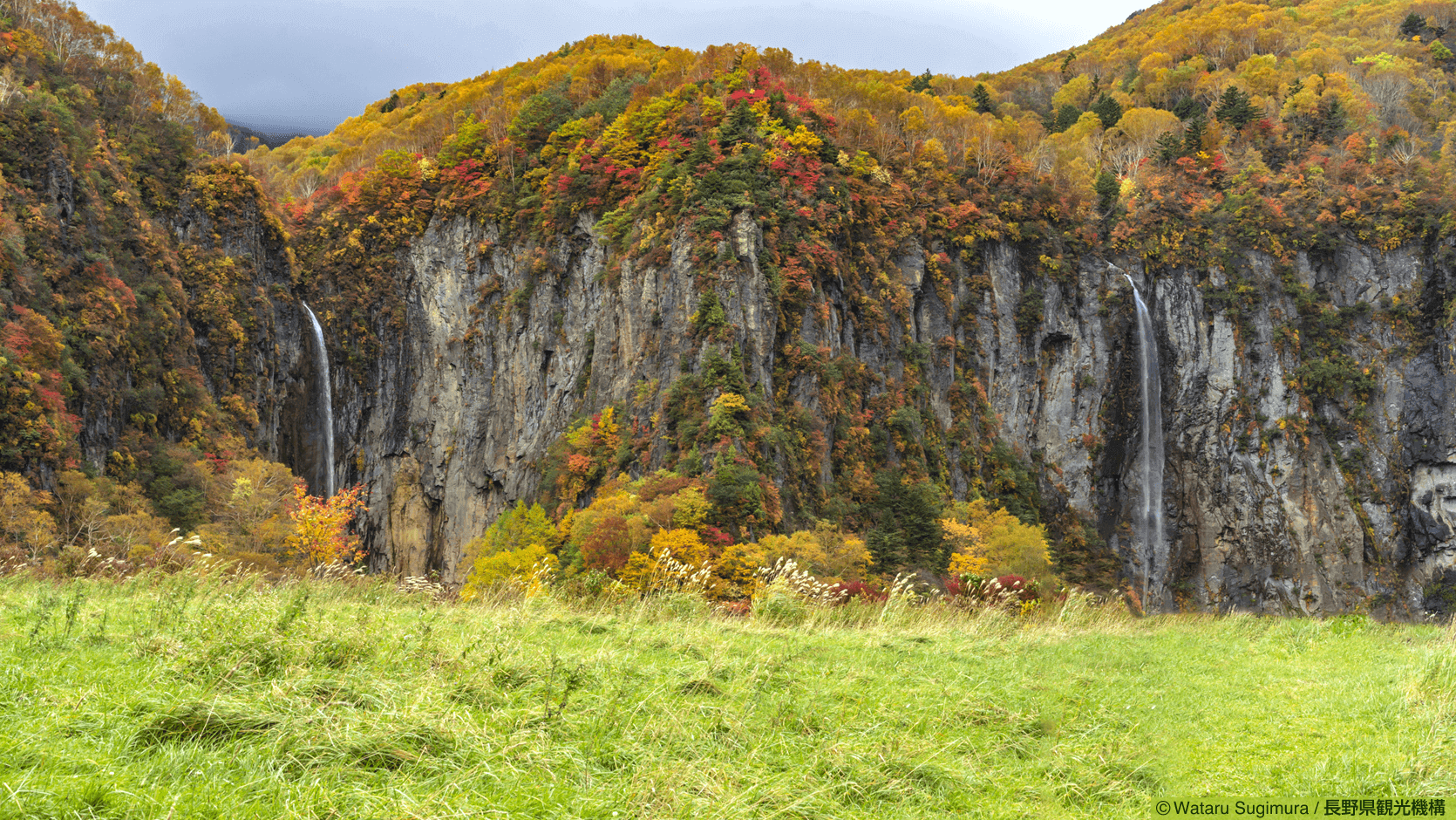 米子鉱山跡地の大草原1