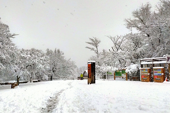 冬の高尾山